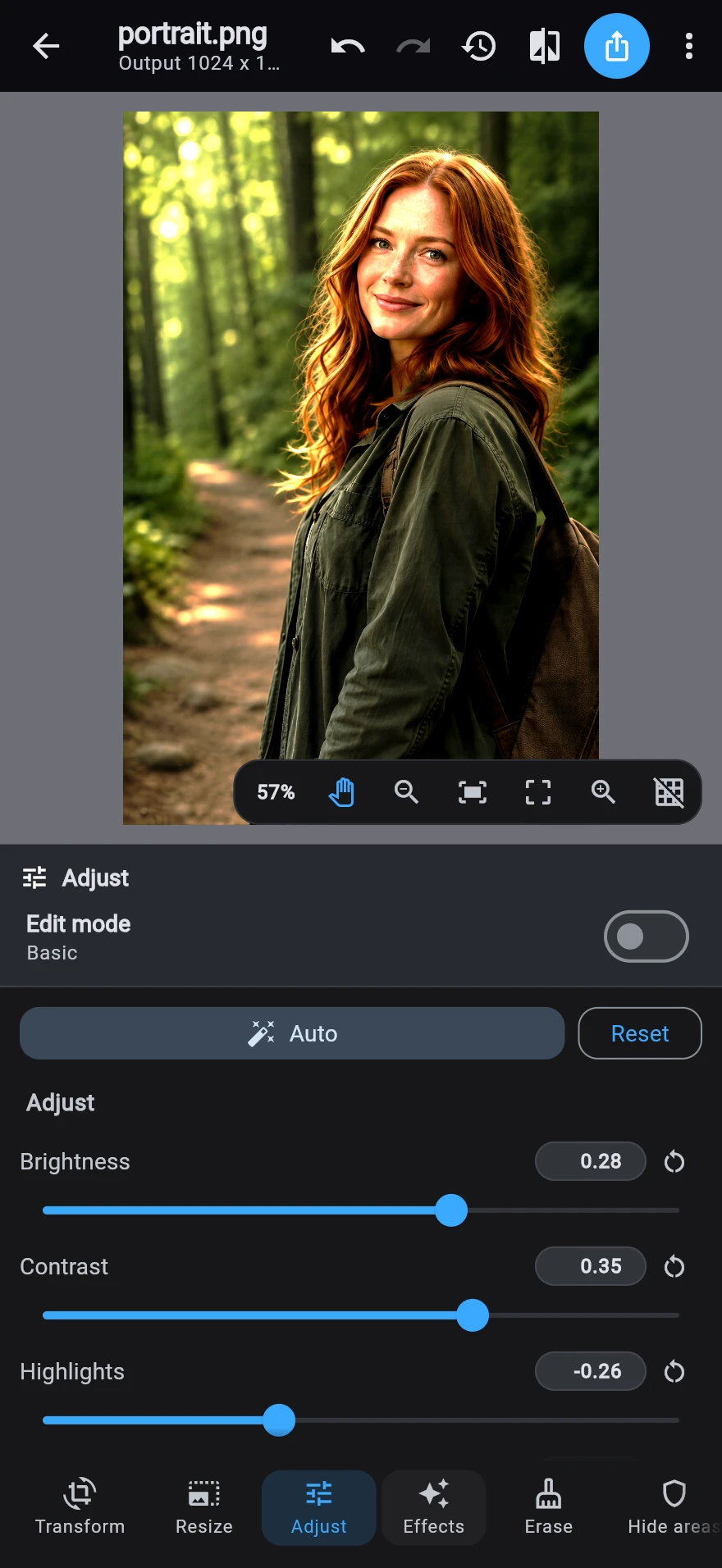 The Adjust destination after a grade: the lifted, punchier photograph above the tonal sliders, each showing the value it was moved to.