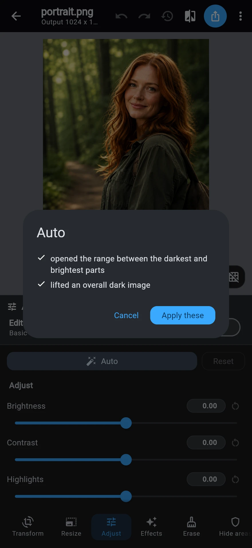 Auto enhance in the Adjust destination, listing what it proposes — opened the range between the darkest and brightest parts, lifted an overall dark image — with Cancel and Apply these.