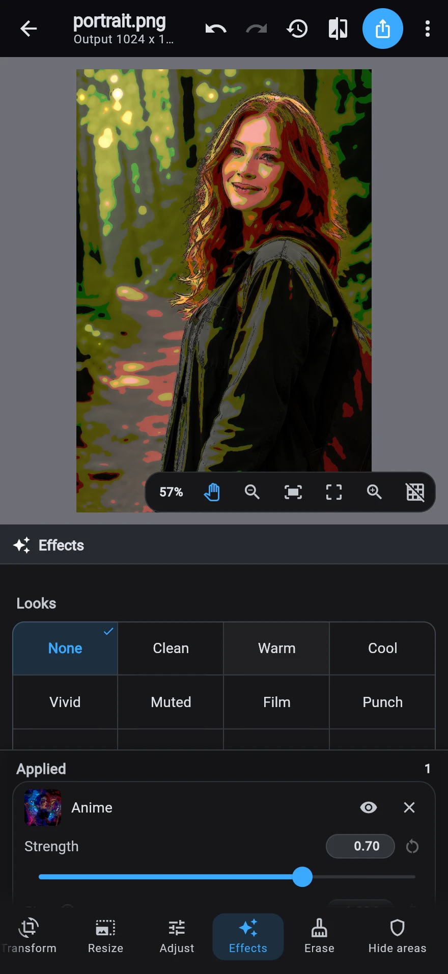 The Effects destination with Anime applied at 0.70 strength: the photograph redrawn in flat colour above the row of Looks and the applied-effect card.