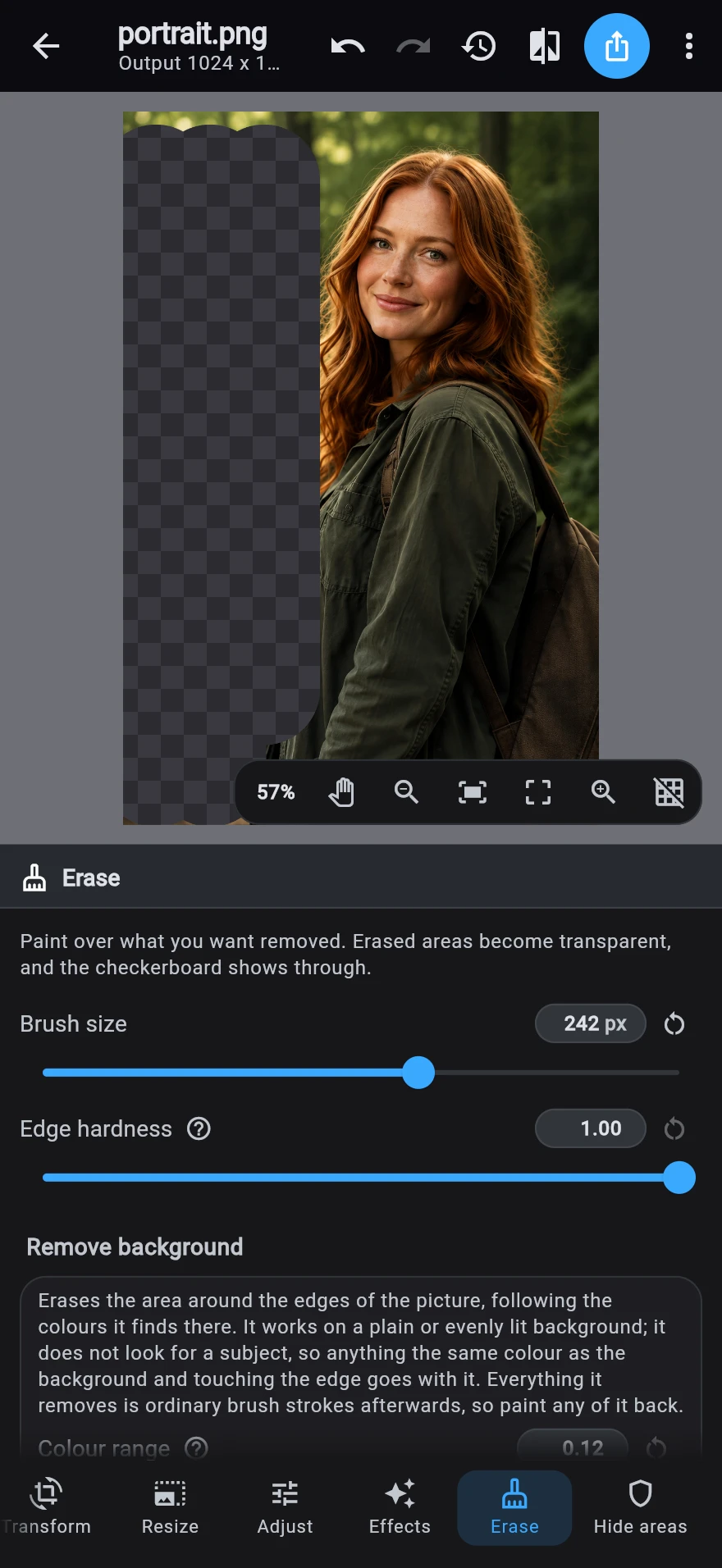 The Erase destination with part of the background painted away: the transparent column shows the checkerboard through the photograph, above the brush size and remove-background.