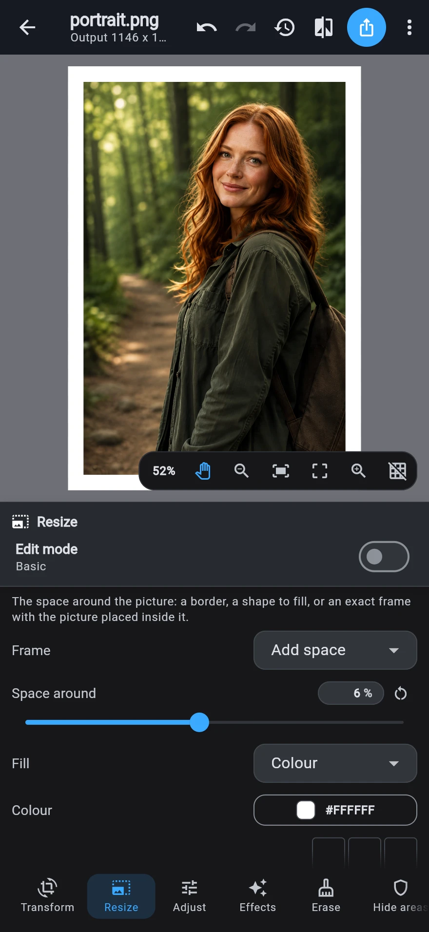 The Resize destination with a frame applied: the photograph sitting inside a white border, above the frame controls — space around, fill colour and placement.
