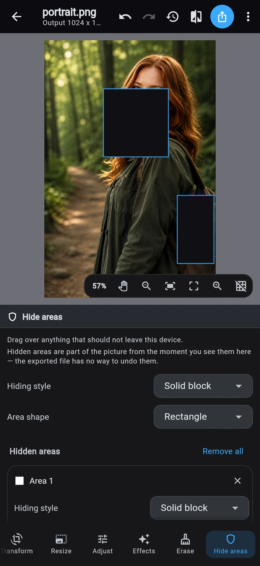 The Hidden areas destination with two solid blocks burned into the photograph, above the hiding-style and area-shape controls and the list of areas.