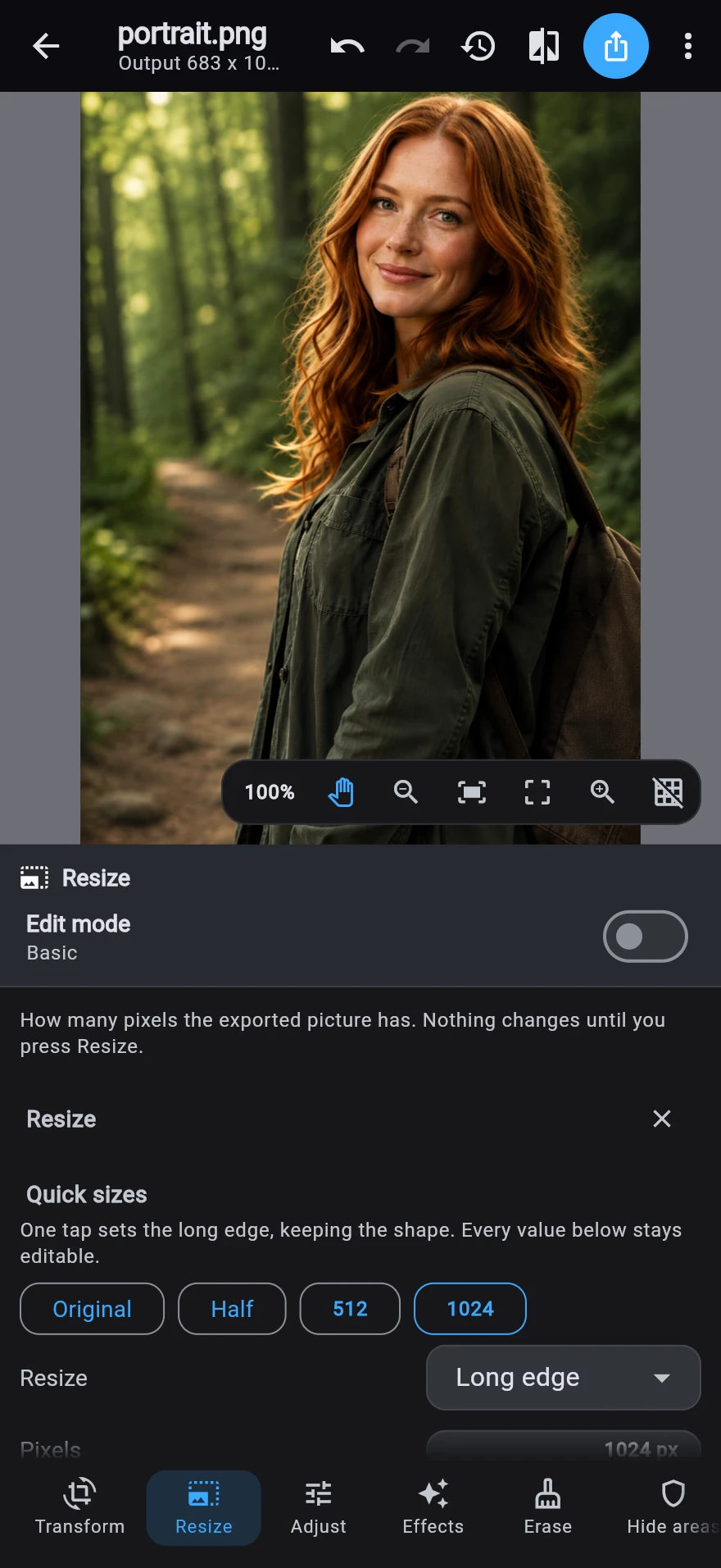 The Resize destination after a one-tap size: the header now reads 683 x 1024, with the quick sizes — Original, Half, 512, 1024 — and the long-edge field below.