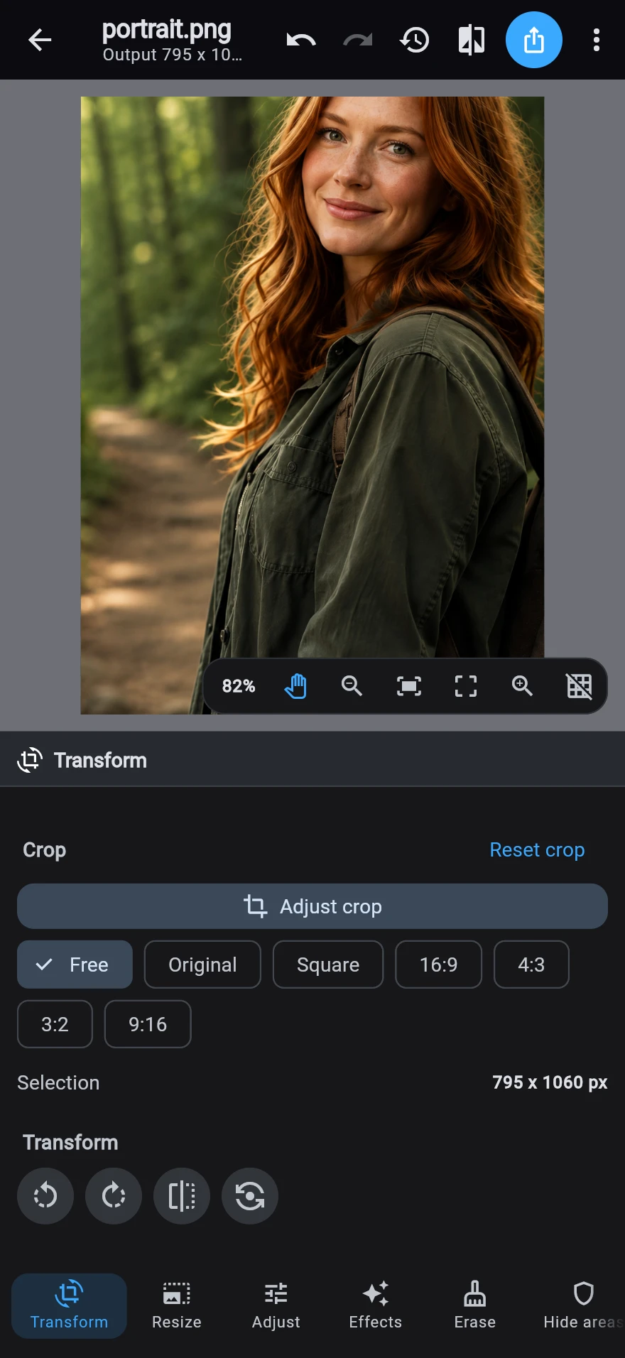 The Transform destination after a crop has been applied: the tighter photograph above the ratio chips — Free, Original, Square, 16:9, 4:3 — with the new selection size printed below.